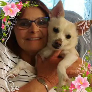 Meet your Posher, Jan